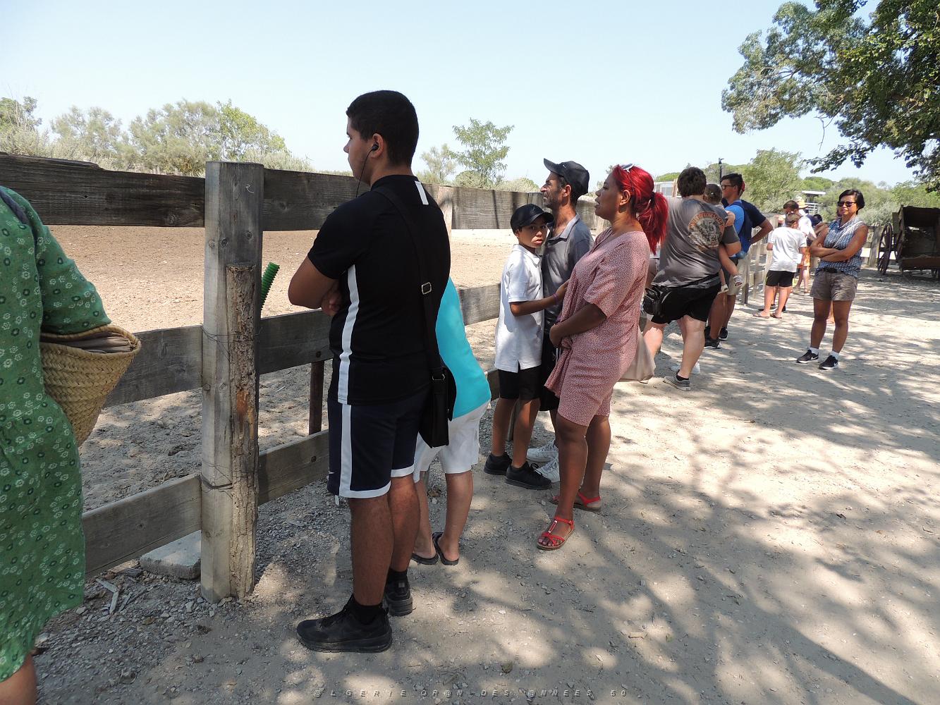 2022 07 UN AIR DE VACANCES 22 AIGUES MORTES (66).JPG -           